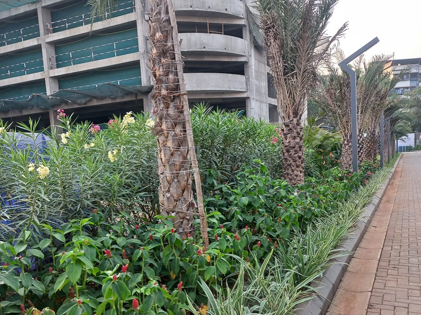 Greenscape Creation